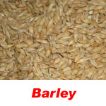 barley
