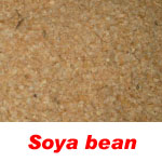 soya bean